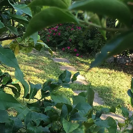 Il Giardino Di Carla ラ・スペツィア