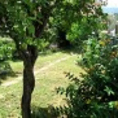 Il Giardino Di Carla La Spezia